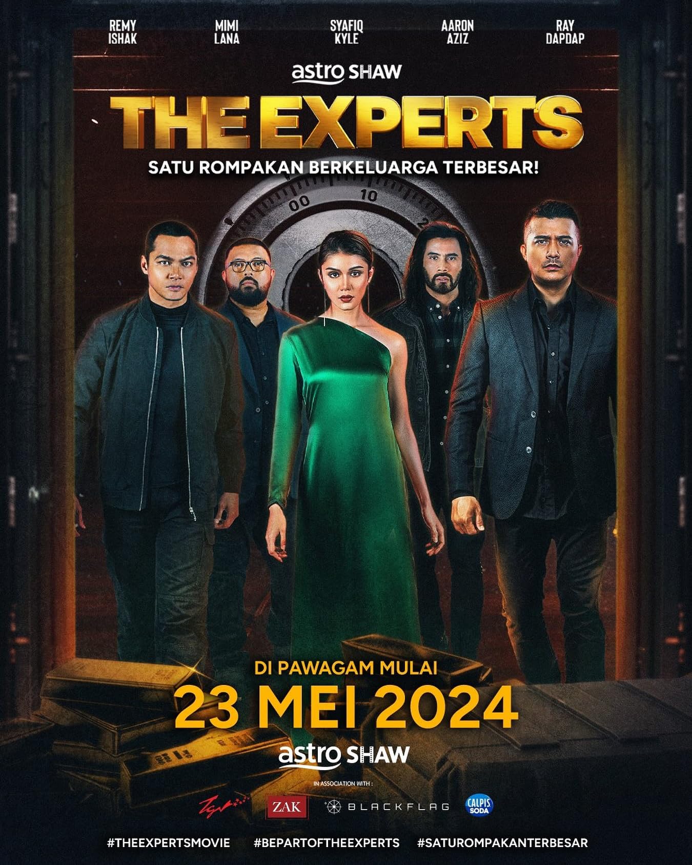 THE EXPERTS (2024) Poster